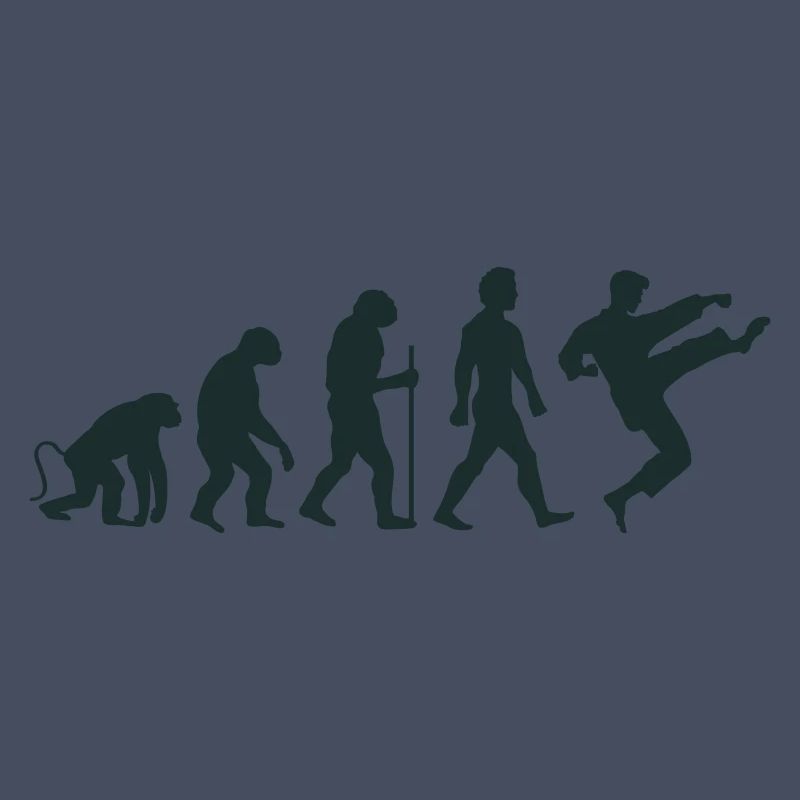 Karate Evolution