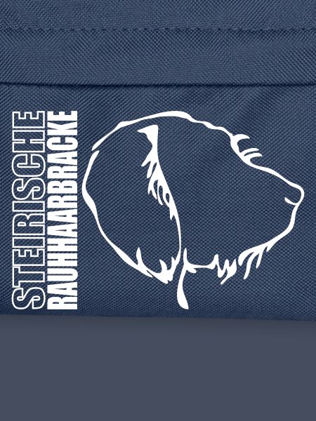 STEIRISCHE RAUHHAARBRACKE PROFIL