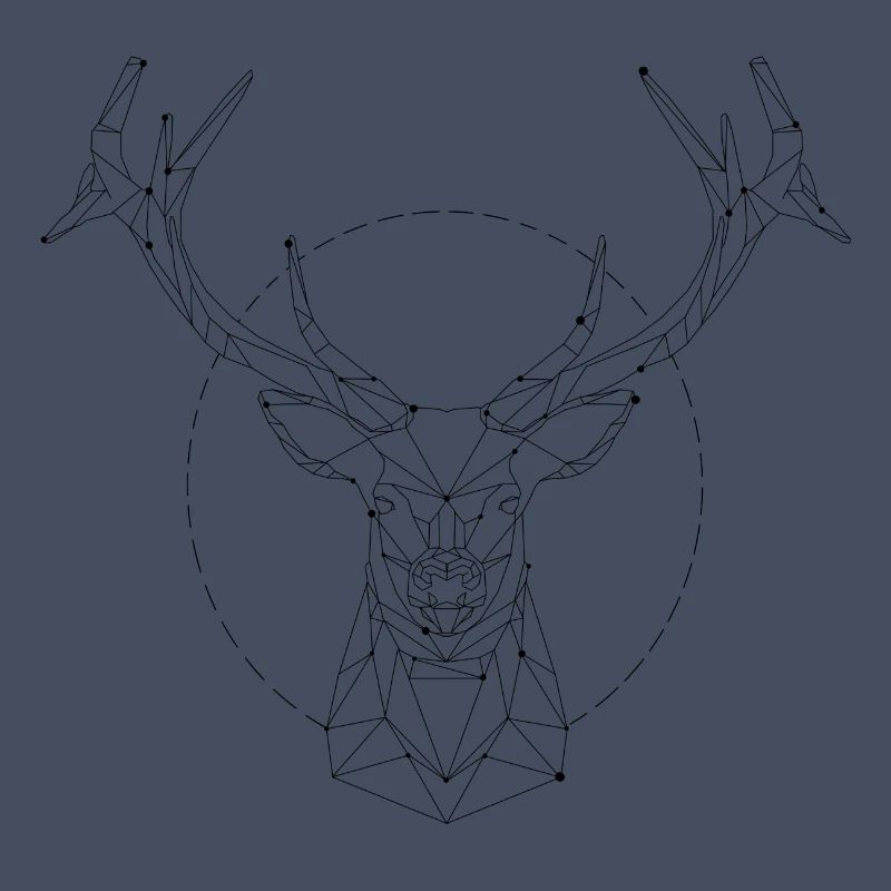 constellation Hirsch