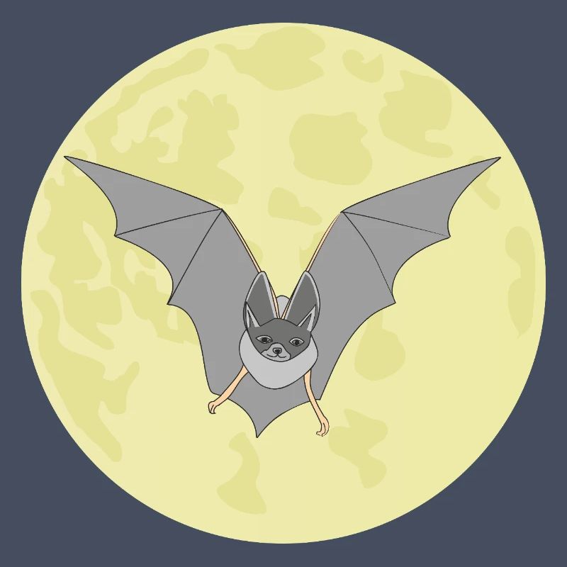 Fledermaus