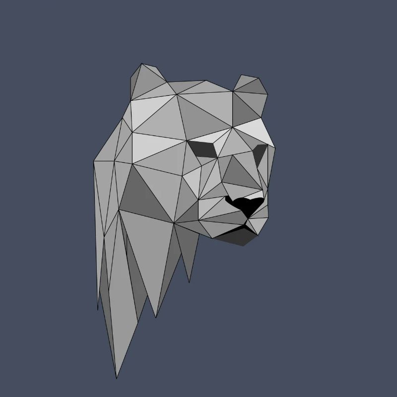 Panther Leopard Gift Gift Idea