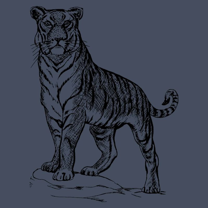 Tiger black and withe