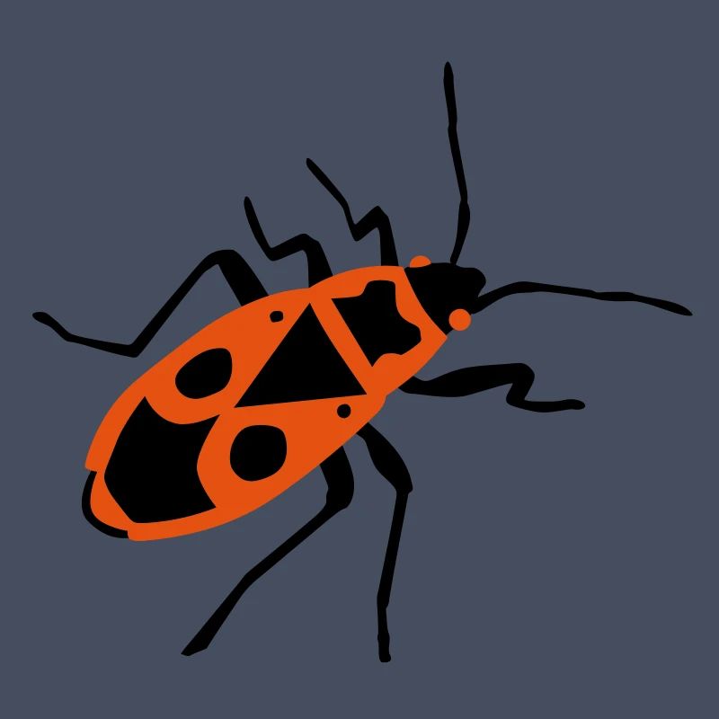 Fire beetle - insect - Firebug
