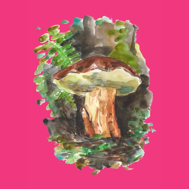Forêt / champignons / champignons