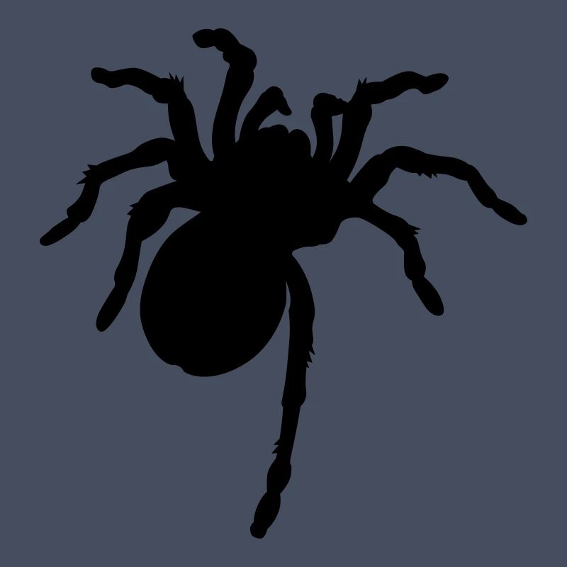 Große Spinne