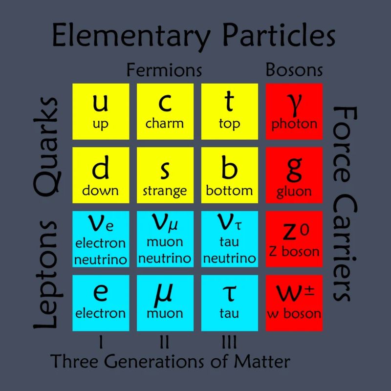 Elementary Particles