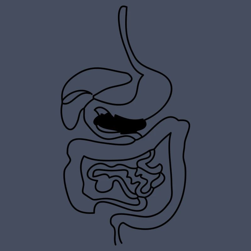 Digestive System