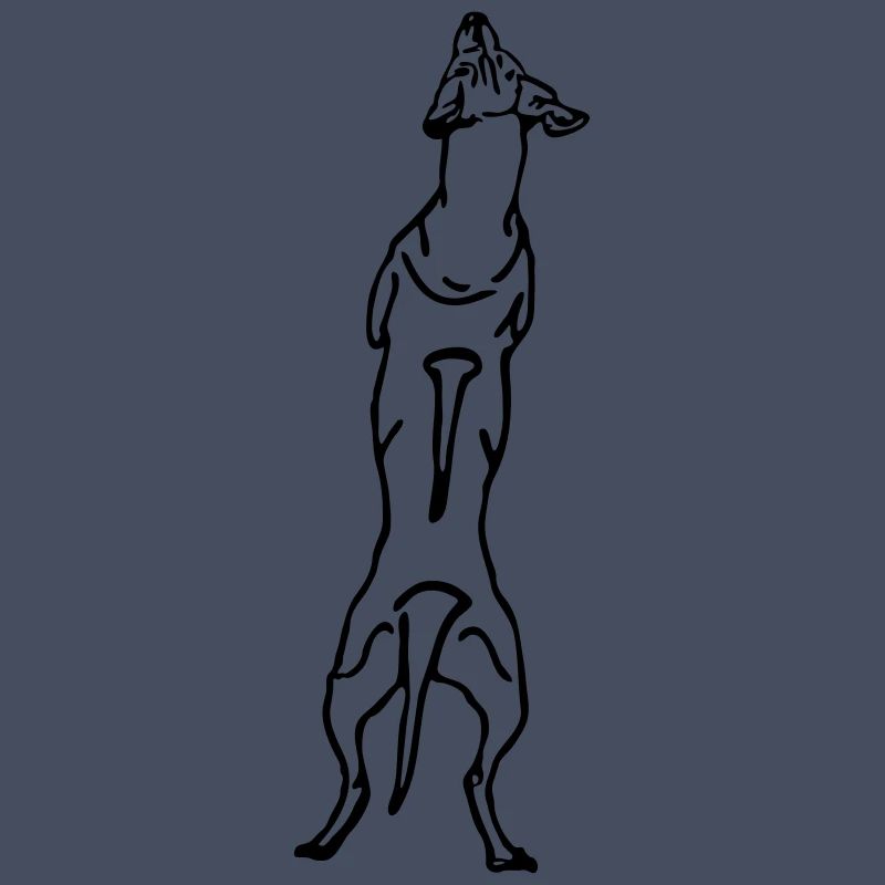 Ridgeback back