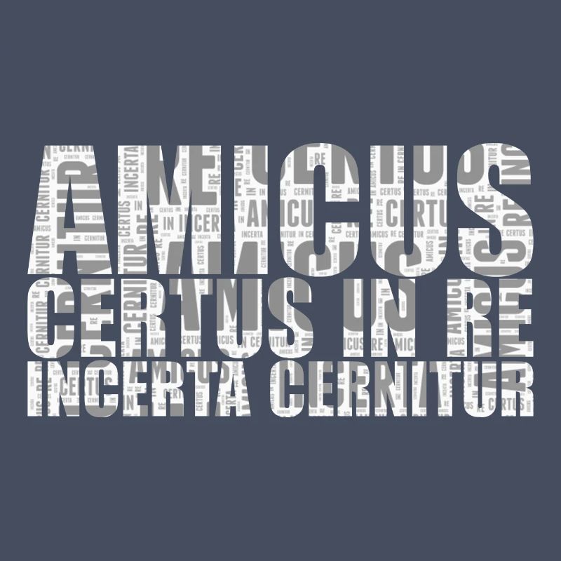Amicus certus in re incerta cernitur