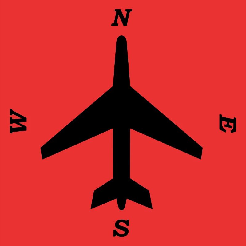 compass _aviation_b1