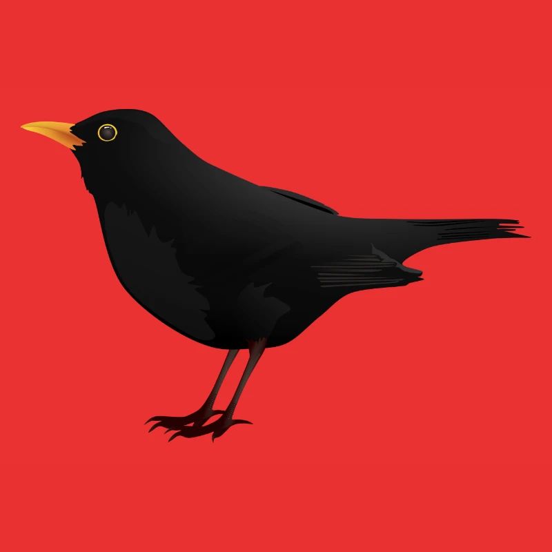 Blackbird Thrush Star Bird Gift Idea
