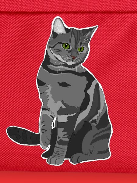 Graue Katze