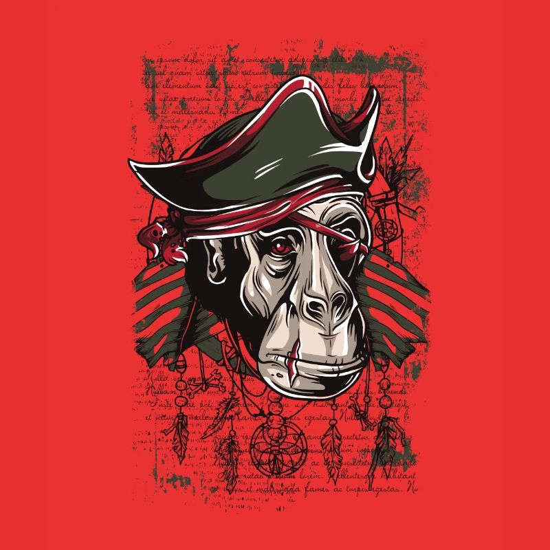 pirate monkey
