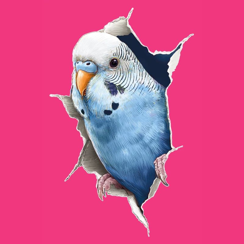 Budgerigar