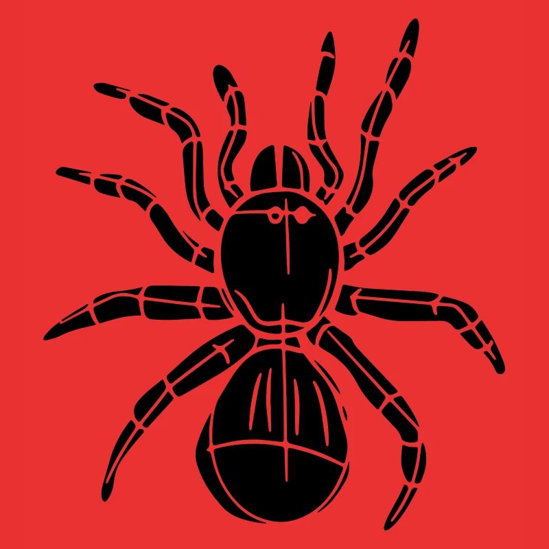 spider