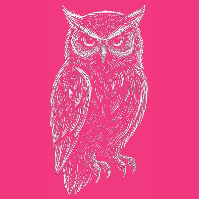 Sketchy Owl – Saggezza della notte