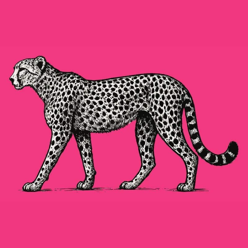 Black and White Leopard Pattern