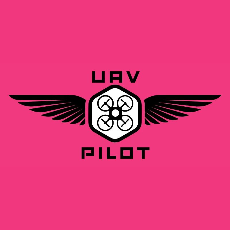 UAV PILOT2