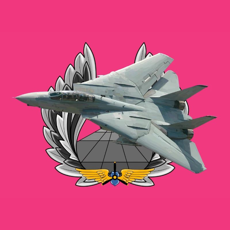 F-14 Tomcat