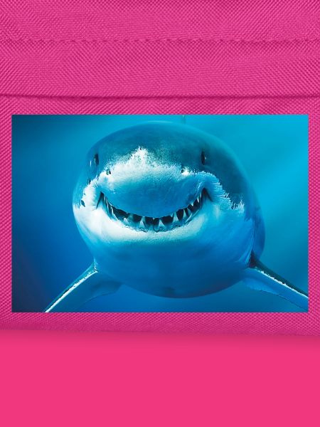 Smiling Shark Underwater
