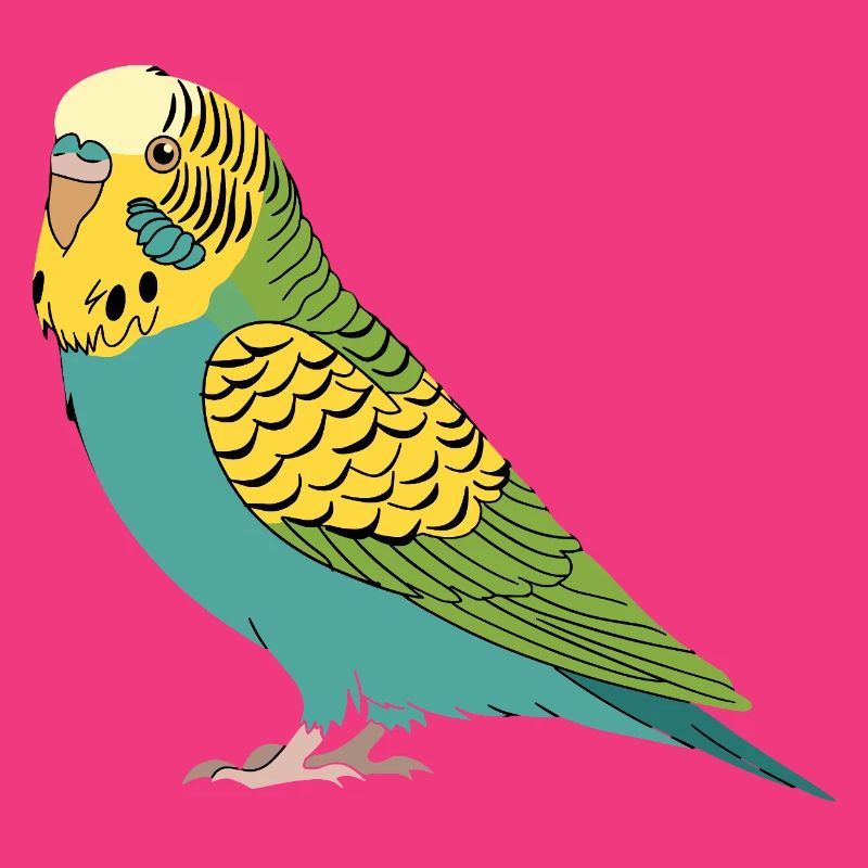 Perruche perruche turquoise vert jaune