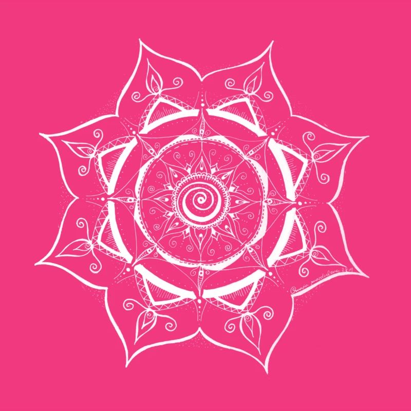 Mandala Spider Web Design