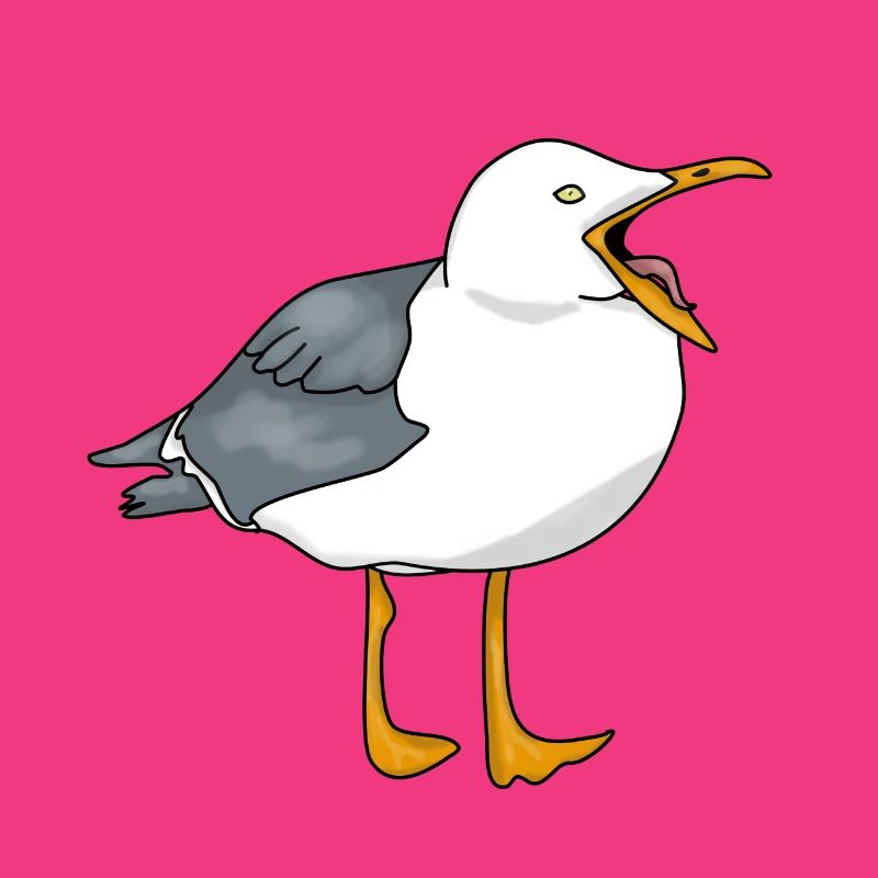 Möwe - Seagull