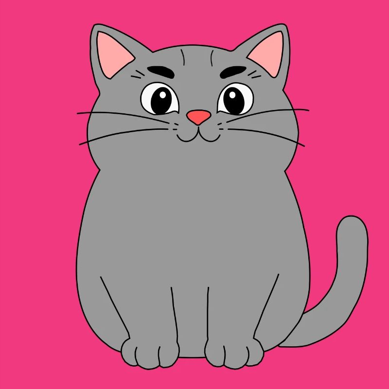 Chat gris