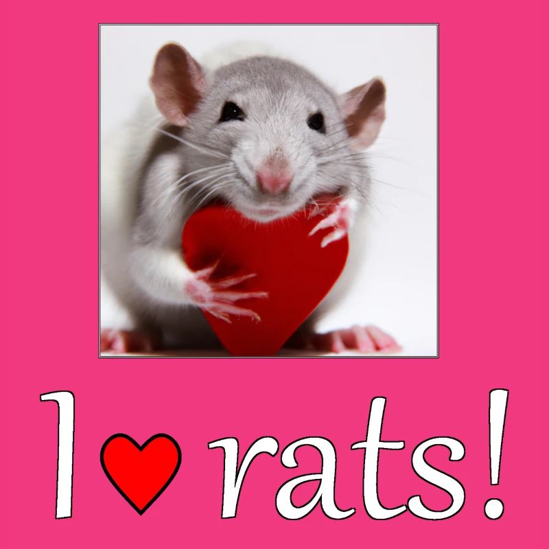 Ratte mit Herz