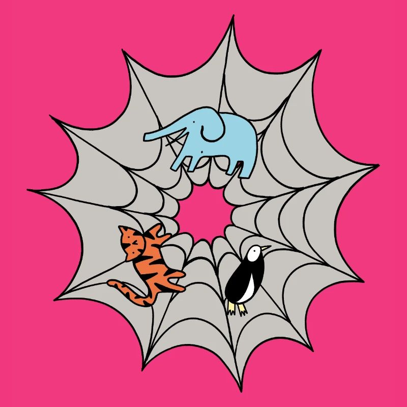 Spider web