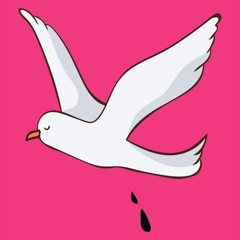 Möwe