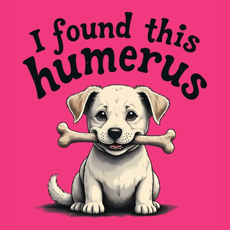 J’ai trouvé cet humérus