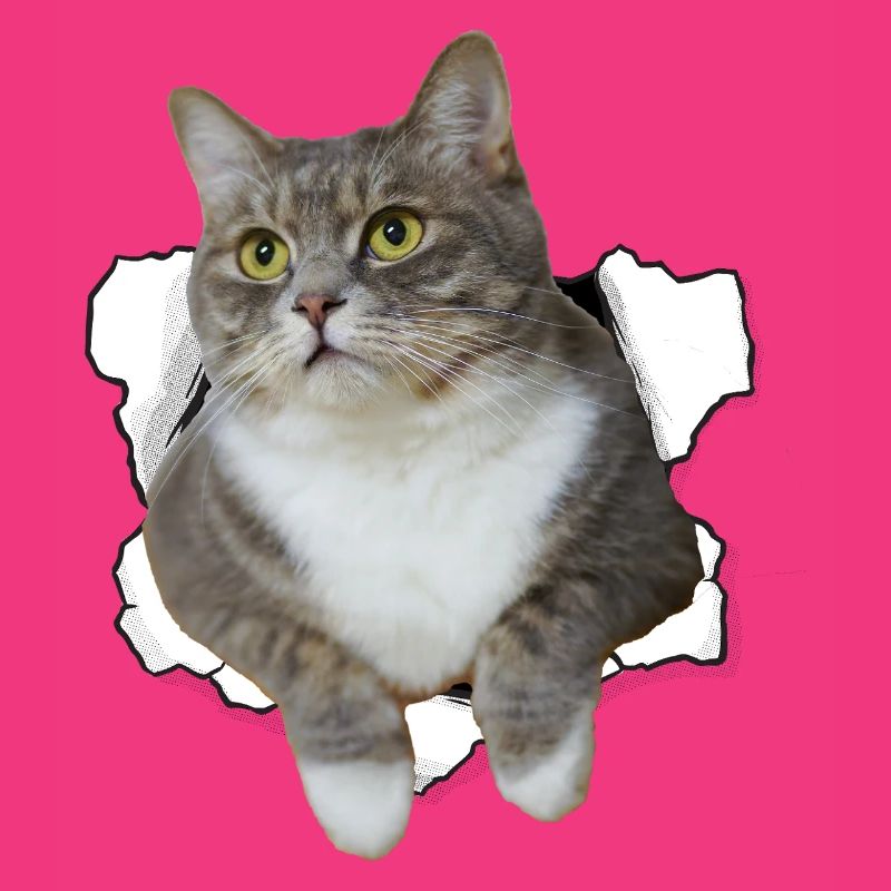 Chat mignon qui sort du trou - Dessin drôle de chat
