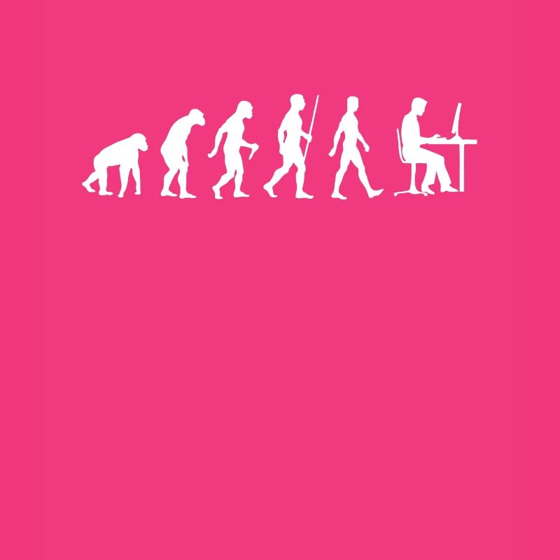 Les programmeurs Evolution développeur informatique