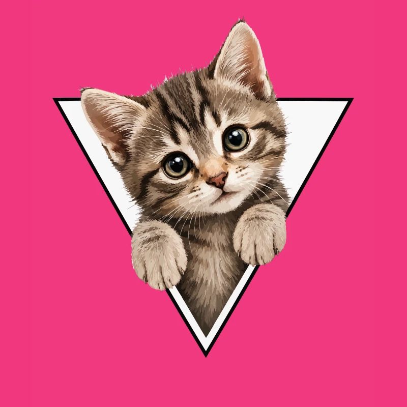 Kitten in the triangle
