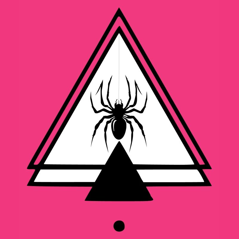 Spinne