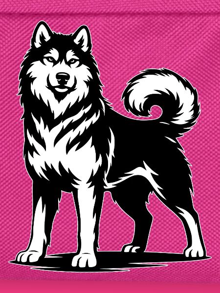 Alaskan Malamute in stolzer Pose