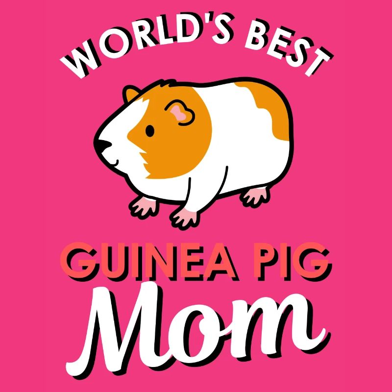 guinea pig