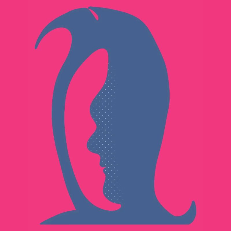 A penguin or a face in this Fun Optical Illusion