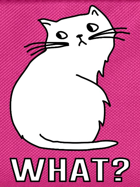 Niedliche Katze What