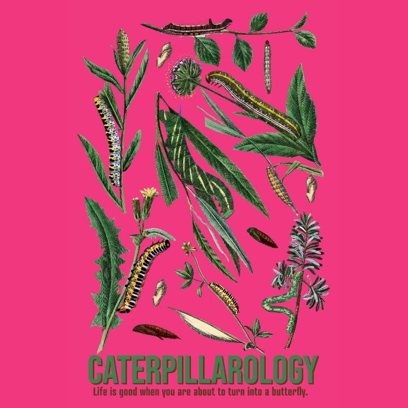 Caterpillarology Nature Study