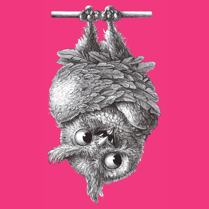 Vampire Owl - Dracula Owl