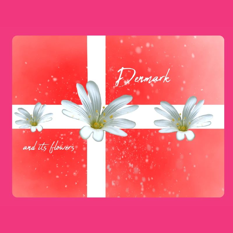 Danemark Danemark Danemark Drapeau