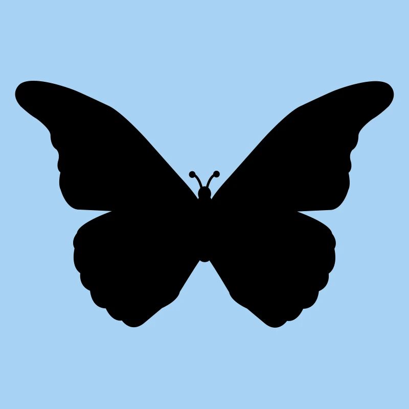 schmetterling