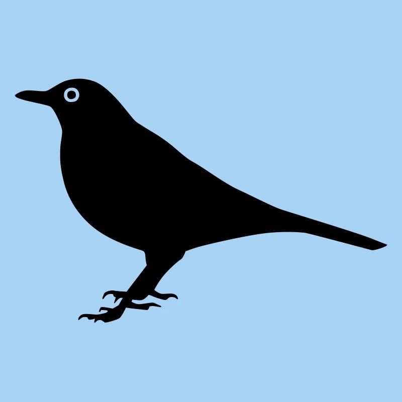 Vogel Amsel