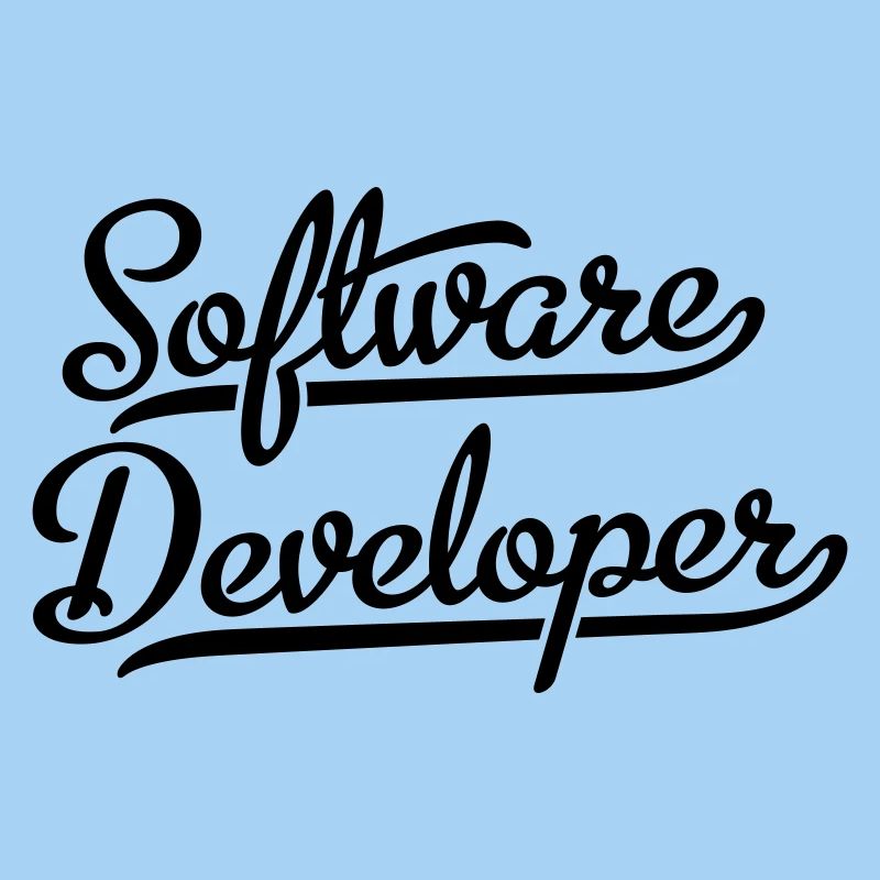 Software Developer