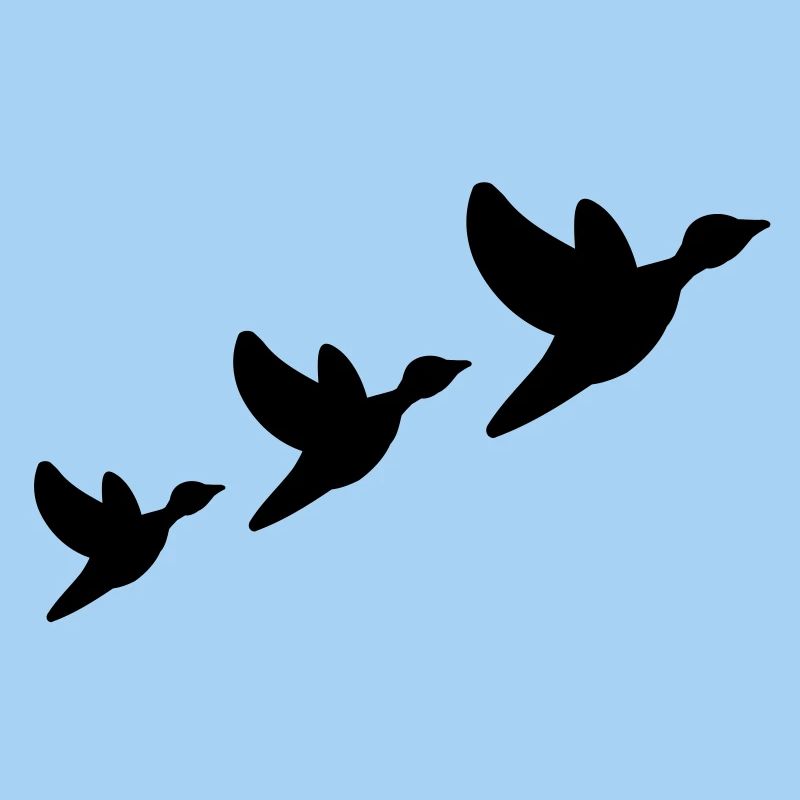 ducks