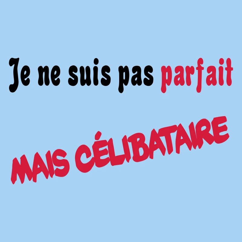 Je ne suis pas parfait mais celibataire