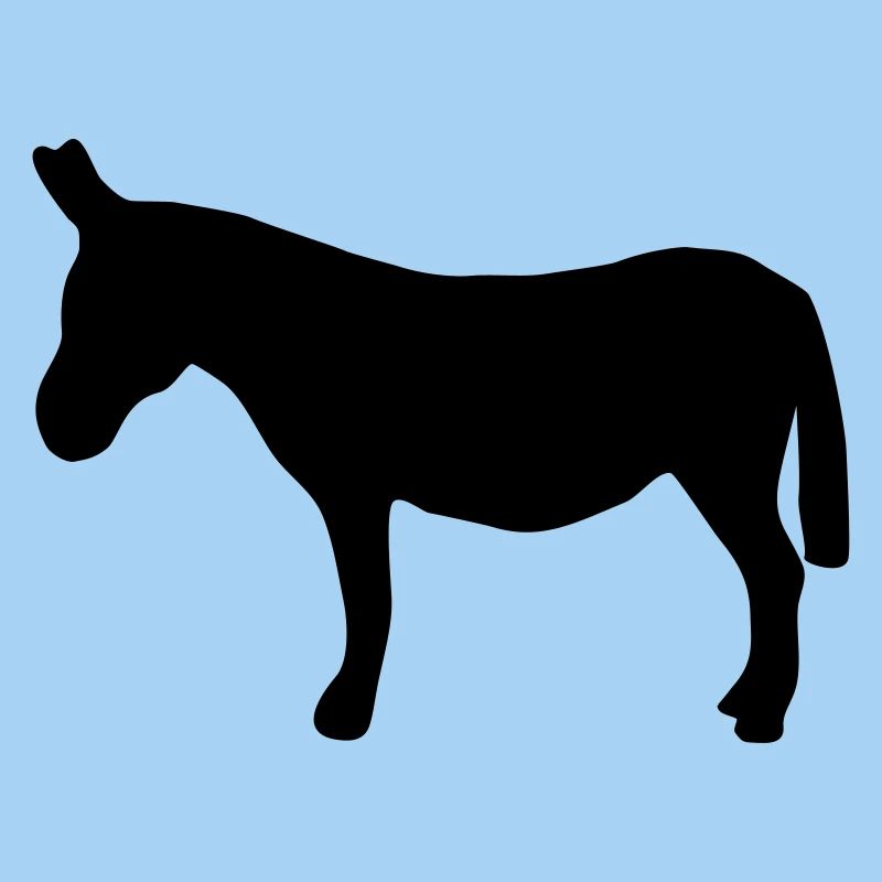 âne