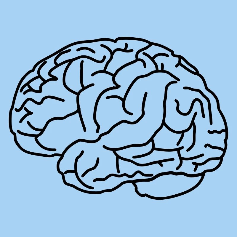 Brain